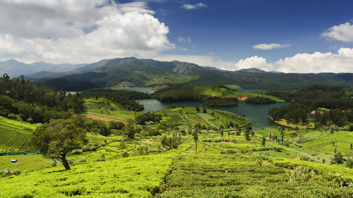 Ooty or Kodaikanal?