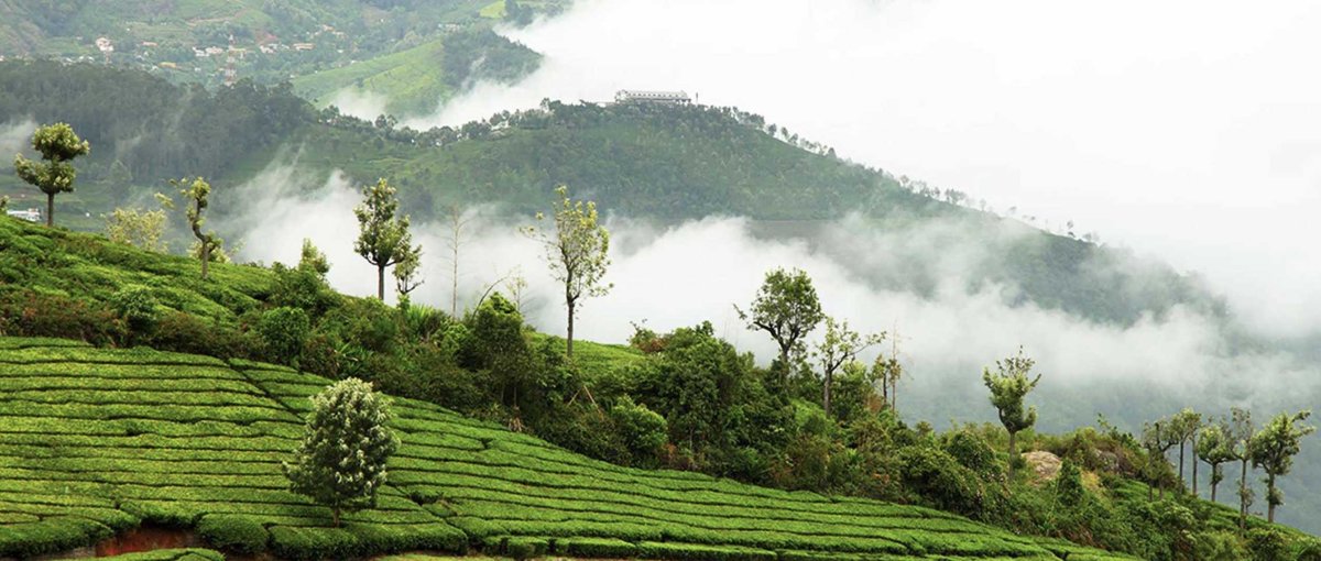 Best Season to Visit Ooty